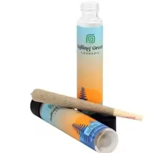 Biscotti Pre-Rolls Deutschland